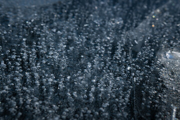 結氷した赤城山大沼の気泡