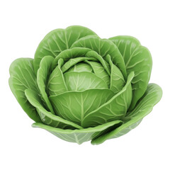 Fototapeta premium Green cabbage isolated on transparent background
