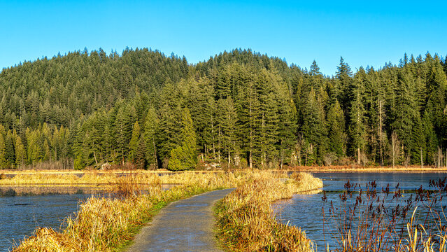 Minnekhada Regional Park: Nature trails, wetlands, and scenic views