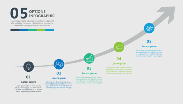 5 Options Business Growth Timeline Infographic with Upward Arrow