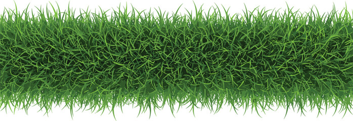 Obraz premium Dense green grass horizontal border background representing natural lawn texture freshness growth and outdoor landscape design flat vector illustration