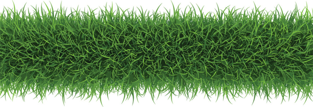 Dense green grass horizontal border background representing natural lawn texture freshness growth and outdoor landscape design flat vector illustration
