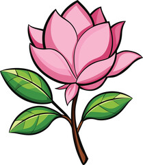 Soft pink magnolia blossom with green leaves botanical vector art