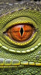 Intense reptilian eye detail captures vibrant orange iris and vertical black pupil surrounded by scaly green skin