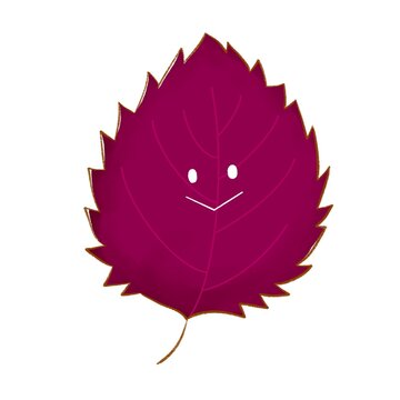 にこにこあか野菜｜ゆるかわ赤しそ