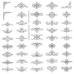 Ornate Decorative Design with Intricate Elegant Details