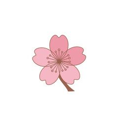 Fototapeta premium A pink cherry blossom flower illustration with delicate petals and stamens