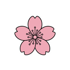 A simple illustration of a pink cherry blossom flower from a front viewpoint