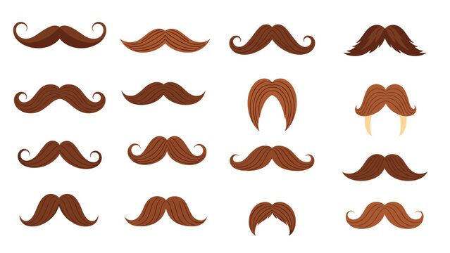 Set of sixteen various brown mustache styles and shapes including handlebar and chevron on a clean white background.