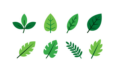 Set of green leaf flat vector icons collection. Various botanical and tropical leaf shapes in modern simple style, perfect for eco design, nature logo, organic branding, web, app, packaging.