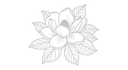 A delicate black and white illustration depicts a blossoming magnolia flower with detailed petals and leaves showcasing botanical artistry © nhpvect02