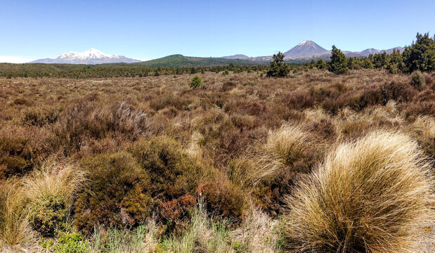 Mount Ruapehu and Mount Ngauruhoe - Mount Doom - alpine desert