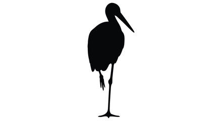 A striking black silhouette of a long legged wading bird possibly a stork or heron against a plain white background silhouette © CreativeAlim02