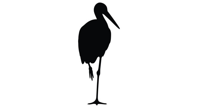 A striking black silhouette of a long legged wading bird possibly a stork or heron against a plain white background silhouette