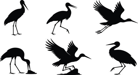 Fototapeta premium Set of black and white silhouettes featuring stork birds standing, flying with wings spread, walking, and hunting in simple flat vector design style.