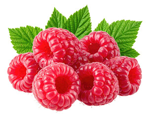Pile of juicy raspberries with green leaves