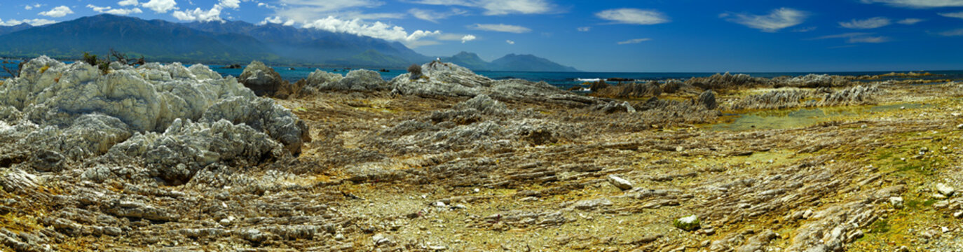 Panorama of the geological coastal formations with Kaikoura Ranges in background