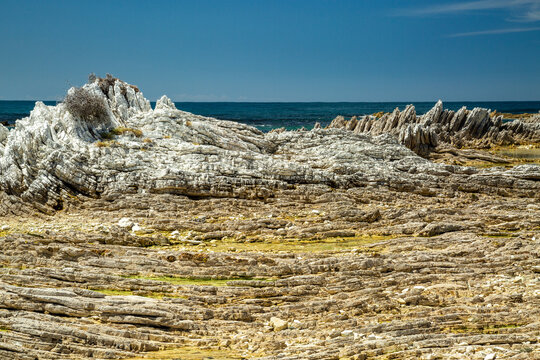 Geological limestone coastal formations of the Kaikoura Peninsula