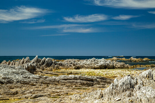 Geological limestone coastal formations of the Kaikoura Peninsula