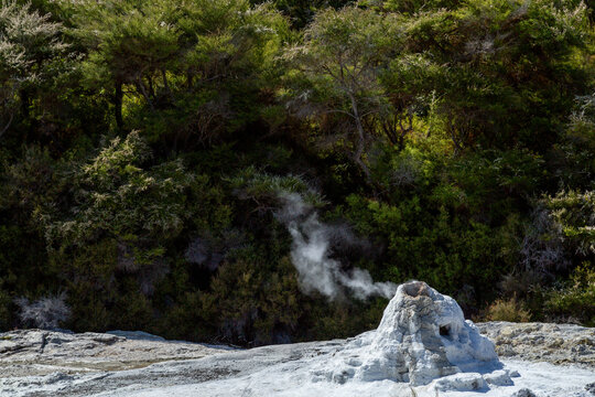 Lady Knox Geyser about to erupt