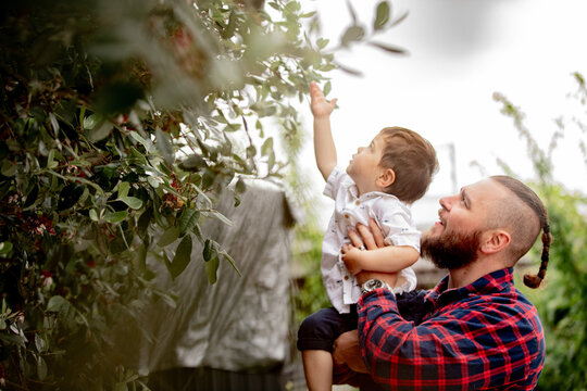 Father in red checkered shirt lifting toddler son up towards the tree