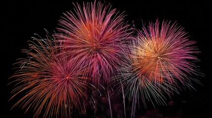 Fototapeta premium Fireworks light up the night sky during a celebration in the city on a warm summer evening in July