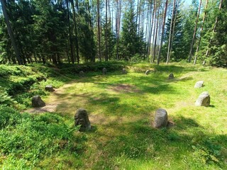 Circular arrangement of standing stones in a forest clearing, surrounded by lush green vegetation and sunlight. © Mateusz