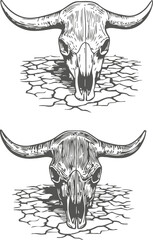 Obraz premium Bull skull illustrations with large horns on cracked dry ground in monochrome vintage
