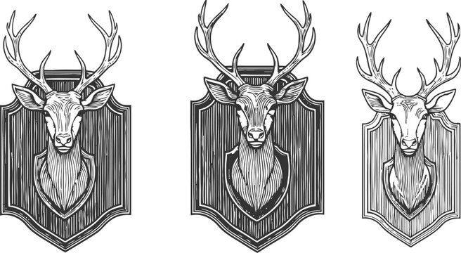 Vintage deer head trophies with antlers hand drawn hunting mounts on wooden plaques
