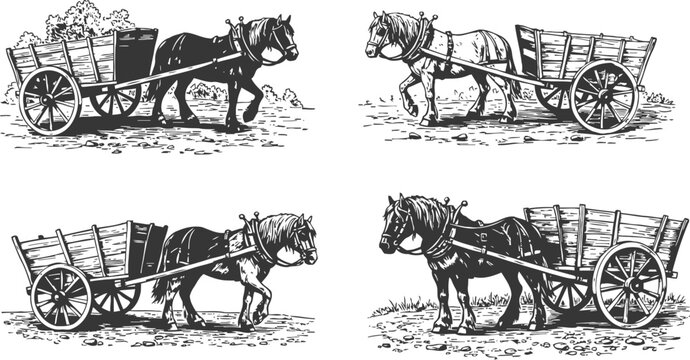 Horse drawn carts with wooden wagons vintage black and white agricultural transportation illustration set