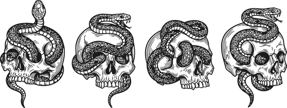 Four detailed skulls entwined with snakes gothic tattoo design illustrations in black and white