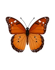Obraz premium Butterfly with orange wings, black & white border, dots, on a white background