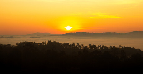 Golden sunrise over tropical forest with sea of mist, beautiful mountain landscape in morning light, warm orange sun rays glowing through fog, peaceful nature background for travel and wellness.