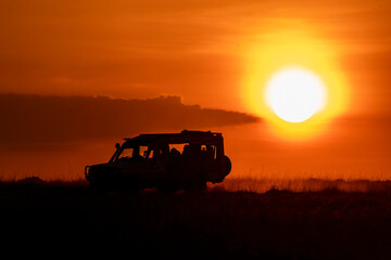 A silhouetted zebra against the rising sun in the plains of masai mara national reserve during a wildlife safari