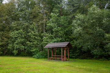 Wooden picnic gazebo in the green forest clearing
