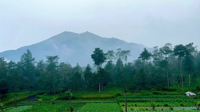 Weather conditions change at the foothills of Mount Merbabu as clear skies gradually shift to foggy and misty scenery, captured in a time-lapse sequence.