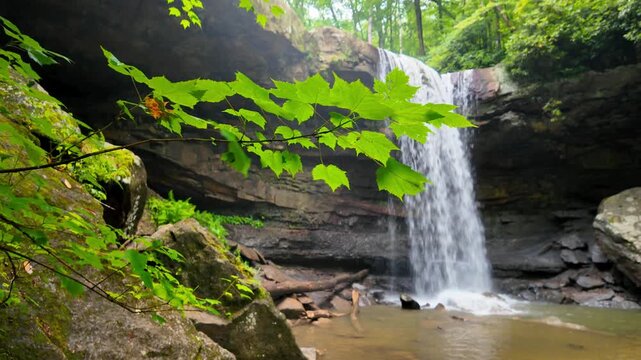 Maple tree foliage in front of Cucumber waterfall in Ohiopyle state park in Pennsylvania , USA.