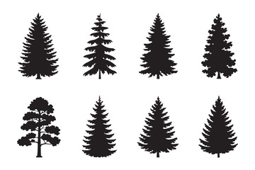 Obraz premium Collection of various black silhouetted evergreen fir and pine trees isolated on white background for design