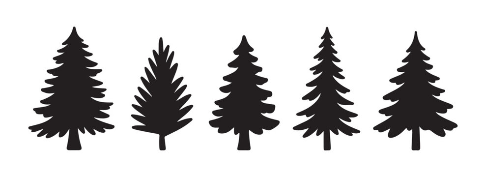 Set of five various black silhouetted evergreen fir trees isolated on white background for design element