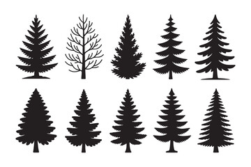 Fototapeta premium Set of various evergreen and pine trees silhouette for winter forest landscape design elements nature