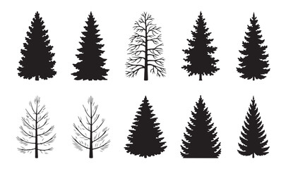 Obraz premium Set of ten different conifer and deciduous tree silhouettes and line art on white background