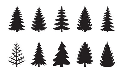 Set of ten different conifer tree silhouettes and deciduous tree outlines on white background
