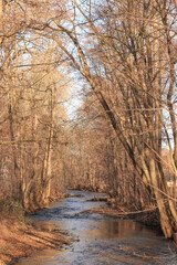 Winterliches Geratal bei Plaue (Th&uuml;ringer Wald)