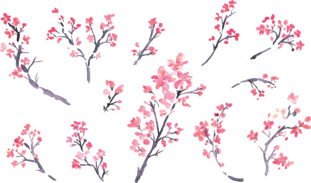 水彩。水彩タッチで描いた日本の桜イラスト。梅の花のベクターイラスト。
Watercolor. Japanese cherry blossom illustration drawn with watercolor touch. Vector illustration of plum blossom.