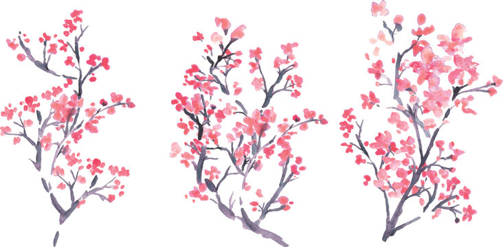 水彩。水彩タッチで描いた日本の桜イラスト。梅の花のベクターイラスト。
Watercolor. Japanese cherry blossom illustration drawn with watercolor touch. Vector illustration of plum blossom.