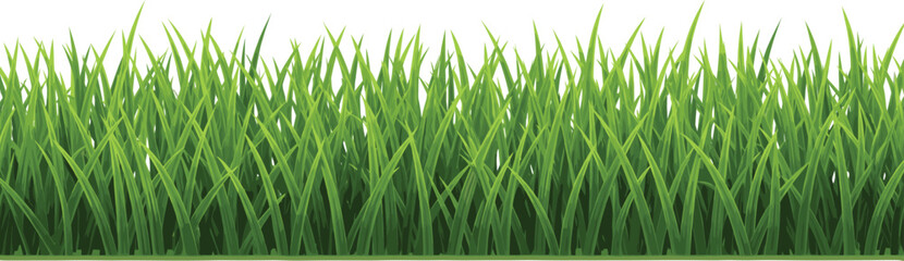 Fresh green grass border illustration forming natural lawn edge background for spring garden and eco design © Mostafijur