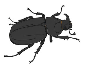 Illustration of a black beetle, featuring detailed legs, antenna and horn, on a white background