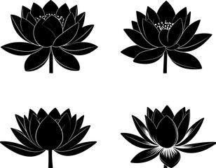 Four black lotus flowers, various blossom angles, outlined in white on a white background