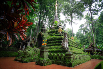 Fototapeta premium fresh natural aire in the forest temple Wat Pha Lat surrounding hidden in the lush jungle of Chiang Mai in Northern of Thailand
