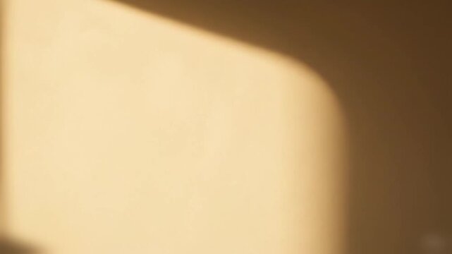 smooth plaster wall in warm off white sunlight streaming from the side subtle crescent shadow shape lots of negative space and an editorial home design aesthetic
